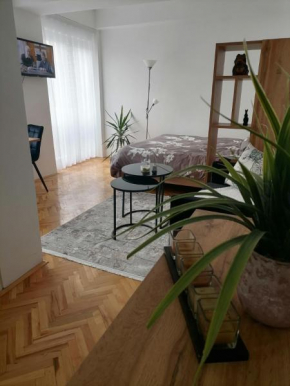 Skopjanka Cozy Apartment